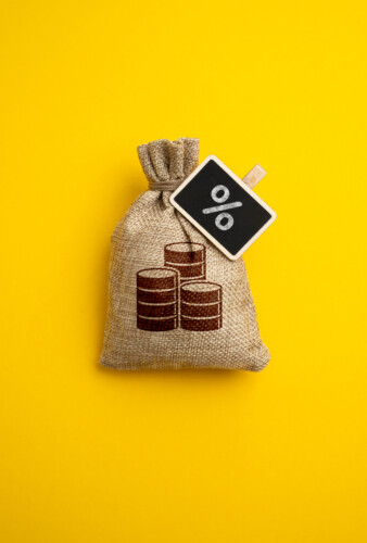 Money Bag And Percentage. Loan At Interest. Conditions For Deposits And Loans. Markups And Price Increases. Inflation. Taxes And Tariffs.