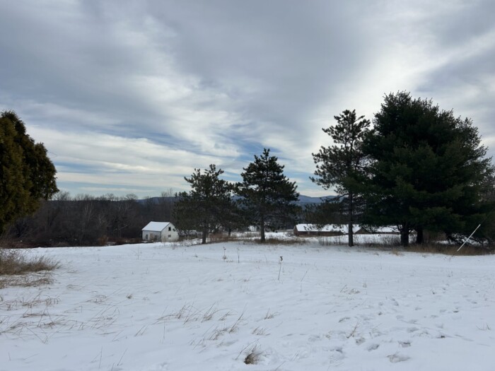 Stateschool 2 2048x1536